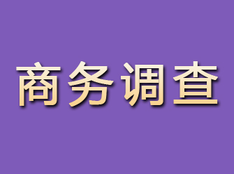 蓝田商务调查